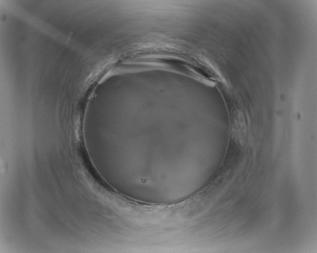 X0000062170023200512091442