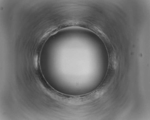 X0000062170024200512091442