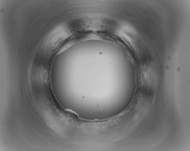 X0000062170025200512091442