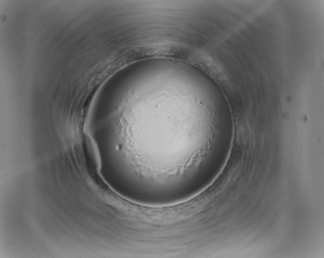 X0000062170026200512091442