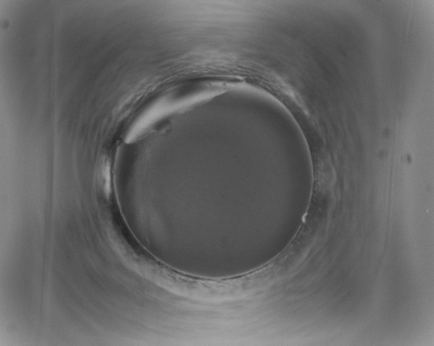 X0000062170027200512091442