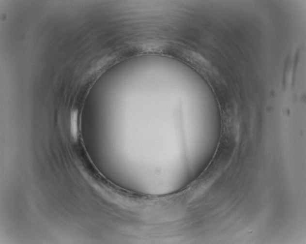 X0000062170028200512091441