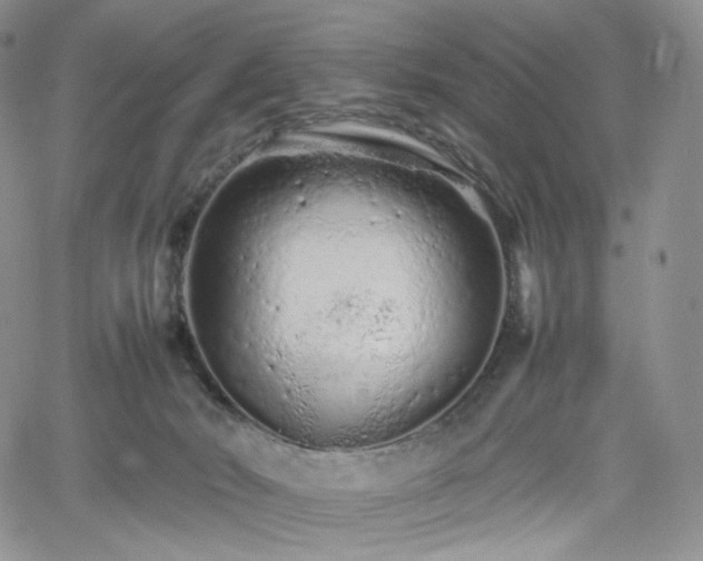 X0000062170030200512091441