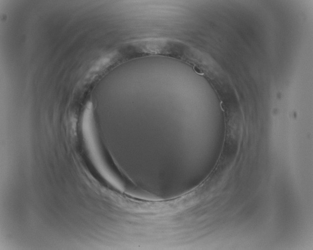 X0000062170031200512091441