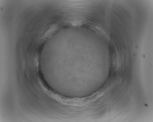 X0000062170032200512091441