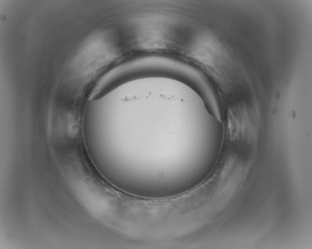 X0000062170033200512091441