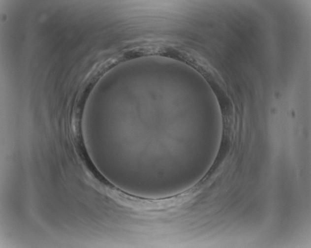 X0000062170035200512091441