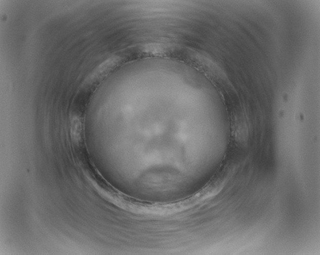 X0000062170036200512091441