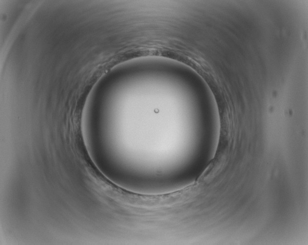 X0000062170037200512091441