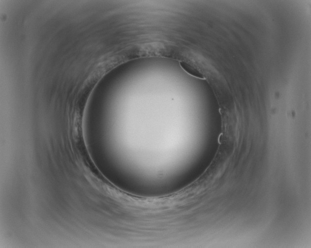 X0000062170038200512091441