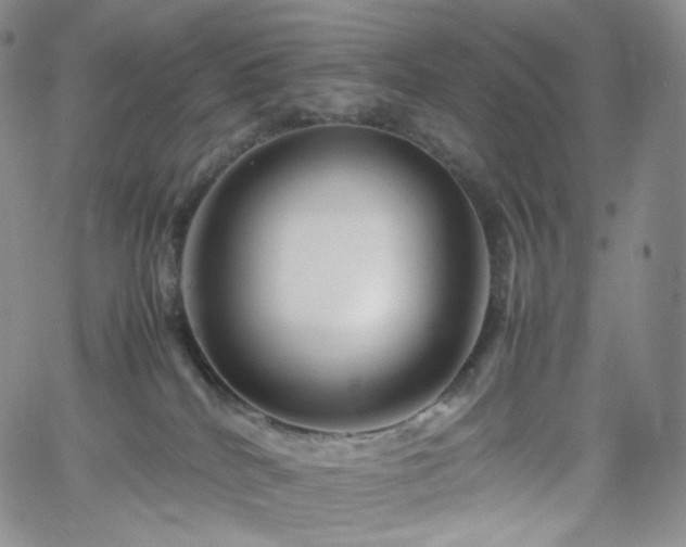 X0000062170040200512091441