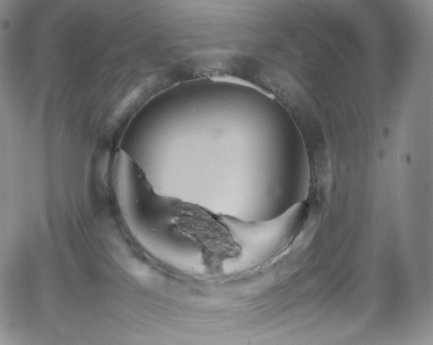 X0000062170041200512091441