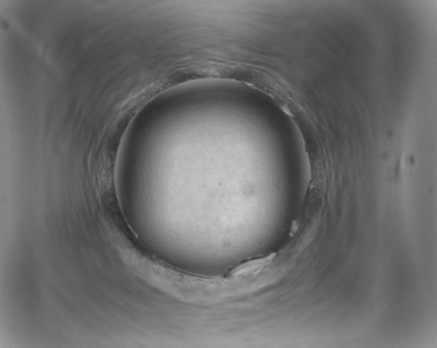 X0000062170043200512091441