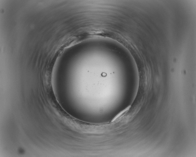 X0000062170044200512091441