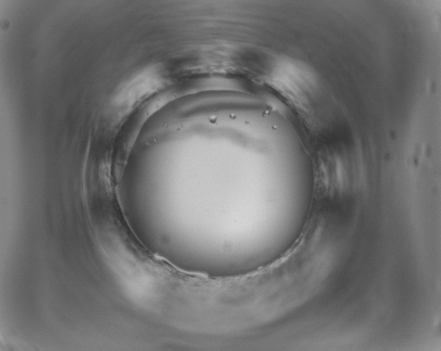 X0000062170045200512091441