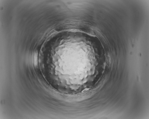 X0000062170046200512091441