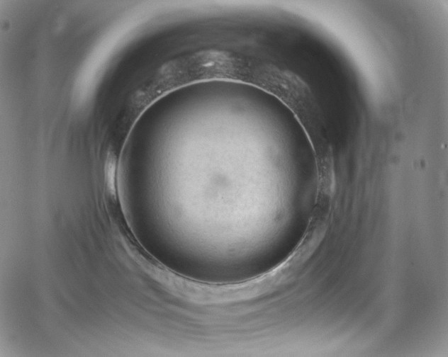 X0000062170047200512091441