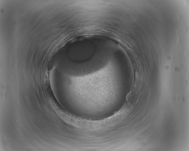 X0000062170048200512091441