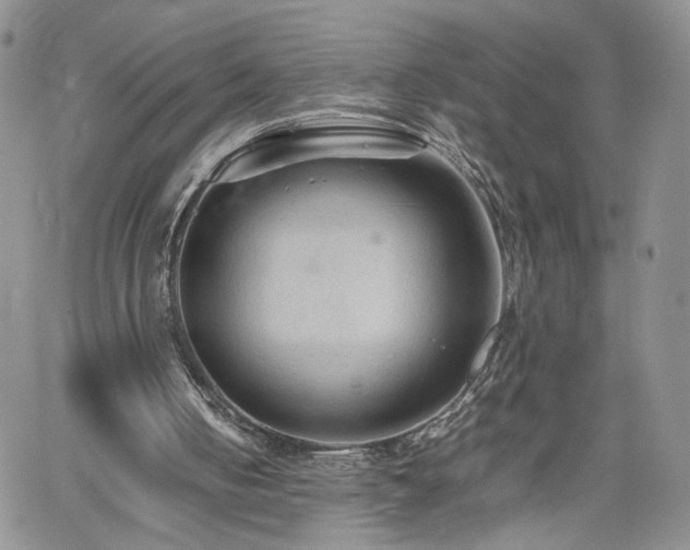 X0000062170050200512091440