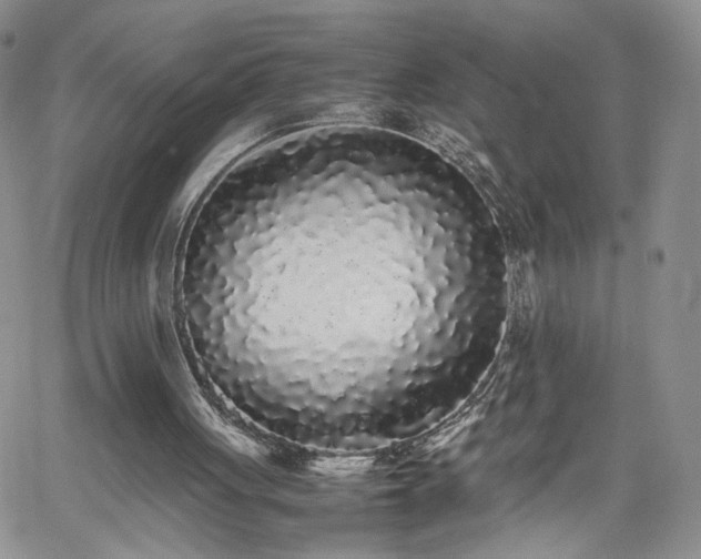 X0000062170051200512091440