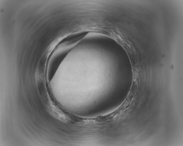 X0000062170052200512091440