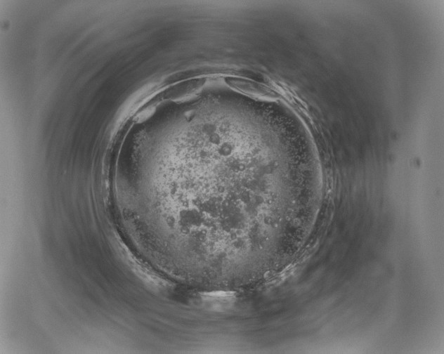 X0000062170053200512091440