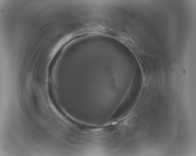 X0000062170054200512091440