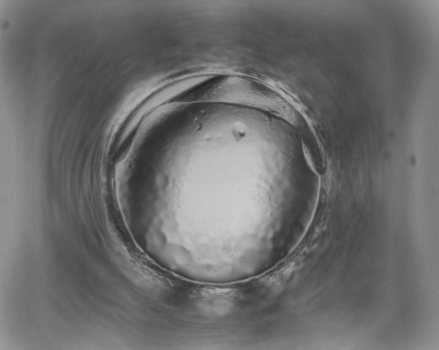 X0000062170055200512091440