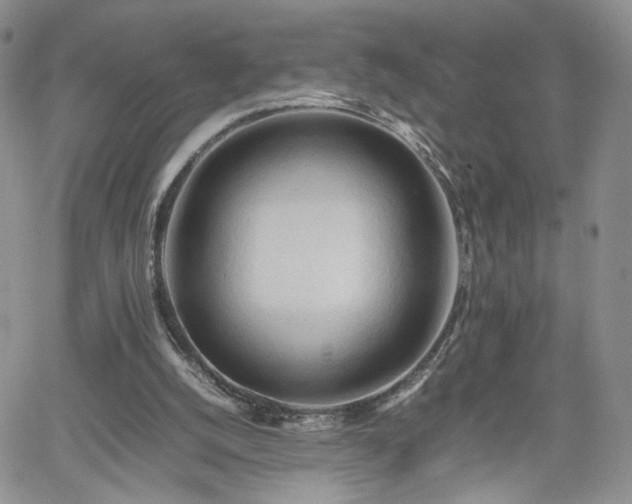 X0000062170056200512091440