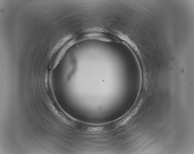 X0000062170057200512091440