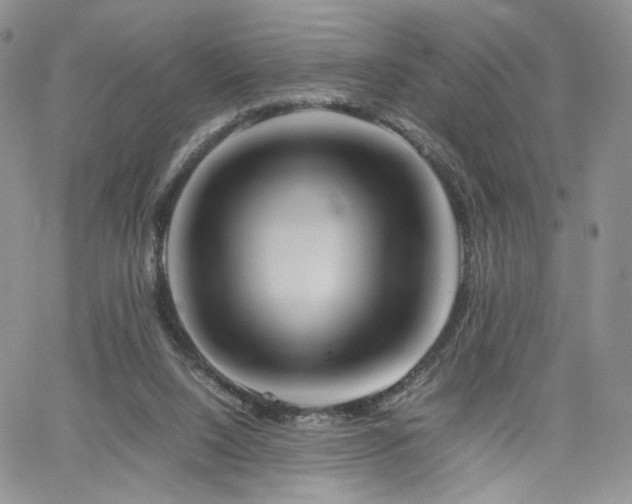 X0000062170064200512091441