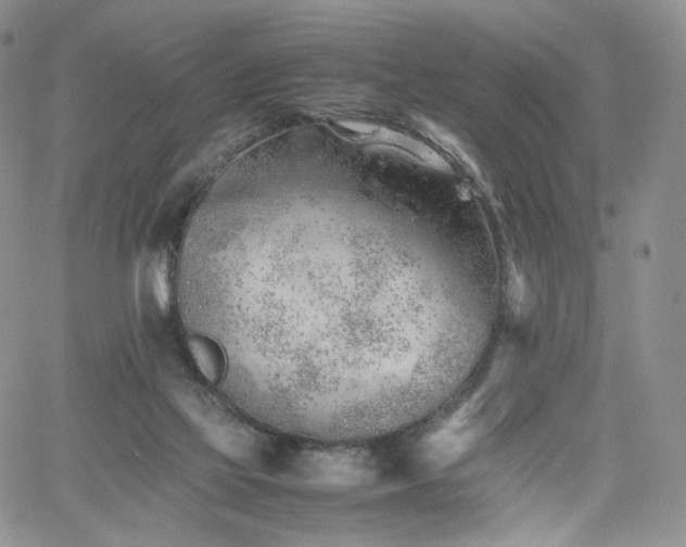 X0000062170069200512091441