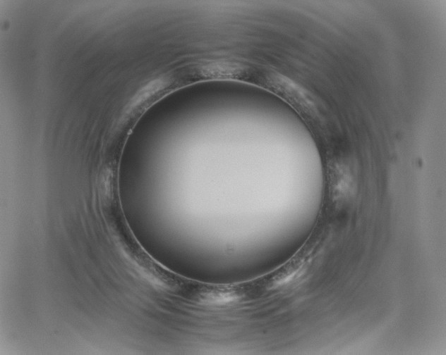 X0000062170071200512091441