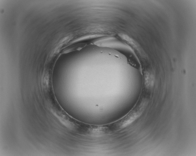 X0000062170072200512091441