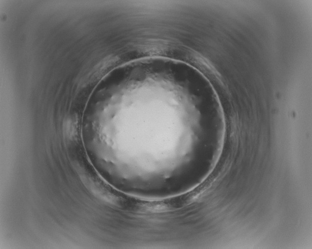 X0000062170073200512091441