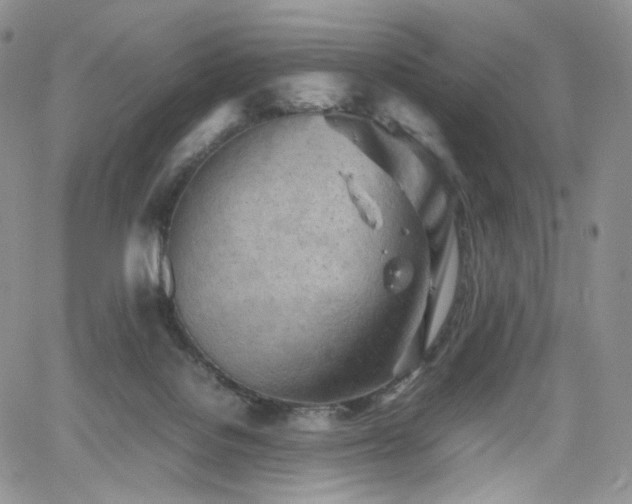 X0000062170076200512091441