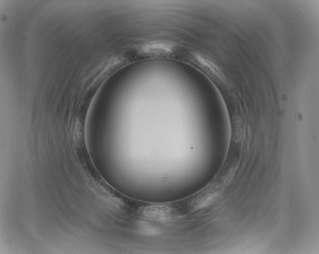 X0000062170077200512091441