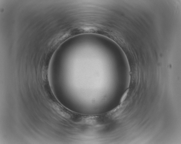 X0000062170078200512091441