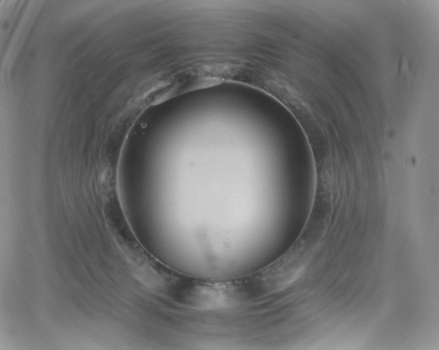 X0000062170079200512091441