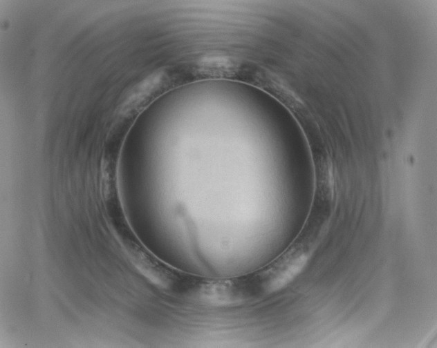 X0000062170080200512091441