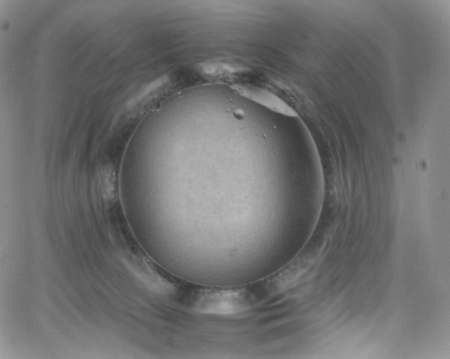 X0000062170081200512091441