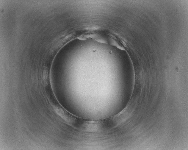 X0000062170082200512091441