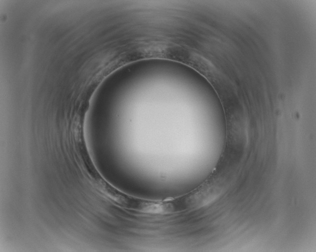 X0000062170083200512091441