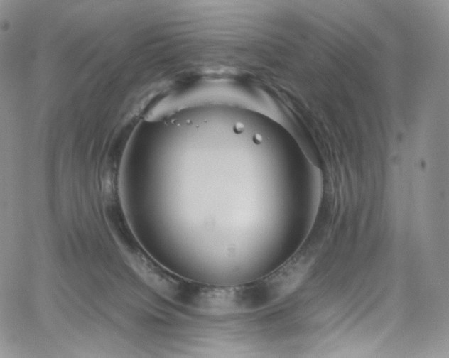 X0000062170084200512091441