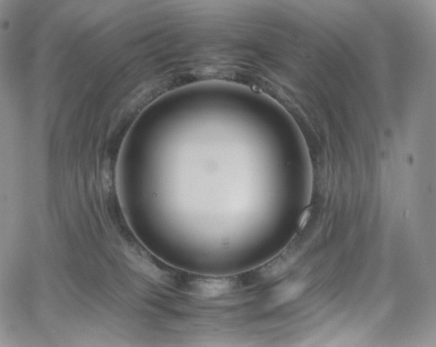 X0000062170085200512091441