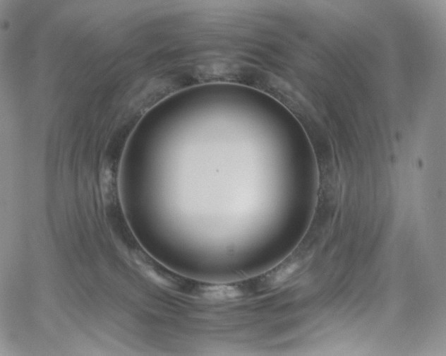 X0000062170087200512091441