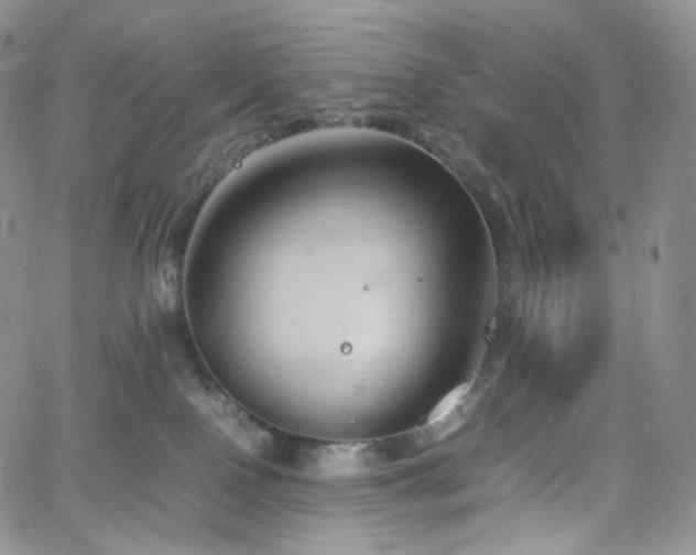 X0000062170090200512091441