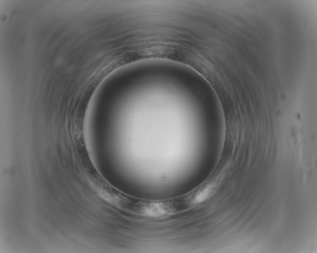 X0000062170091200512091441