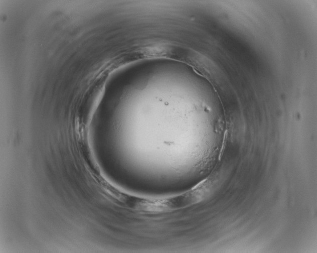 X0000062170093200512091441