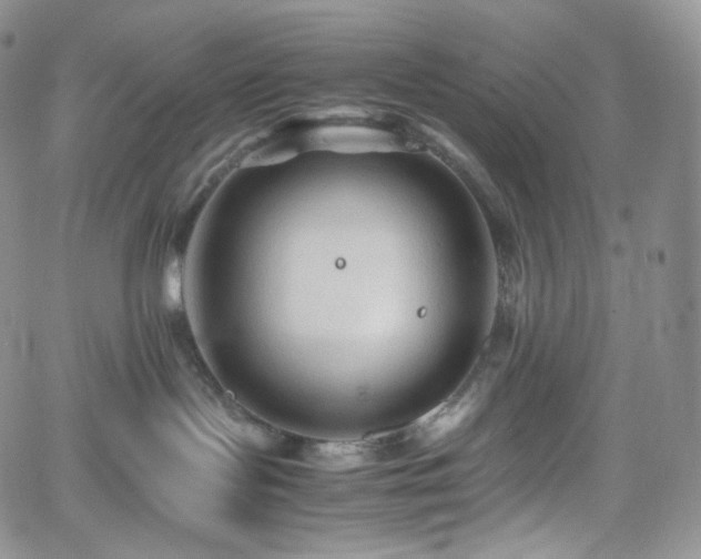 X0000062170095200512091441